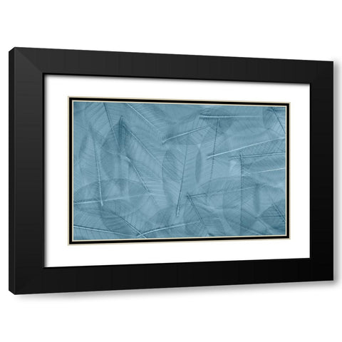 USA- Washington State- Seabeck. Pattern of skeletonized leaves. Black Modern Wood Framed Art Print with Double Matting by Jaynes Gallery
