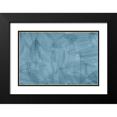 USA- Washington State- Seabeck. Pattern of skeletonized leaves. Black Modern Wood Framed Art Print with Double Matting by Jaynes Gallery