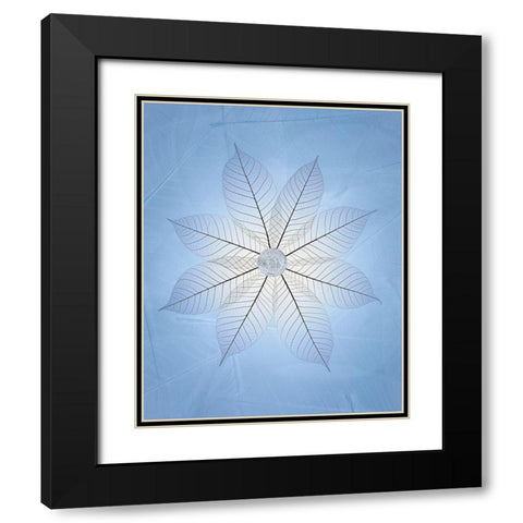 USA- Washington State- Seabeck. Skeletonized leaf pattern. Black Modern Wood Framed Art Print with Double Matting by Jaynes Gallery