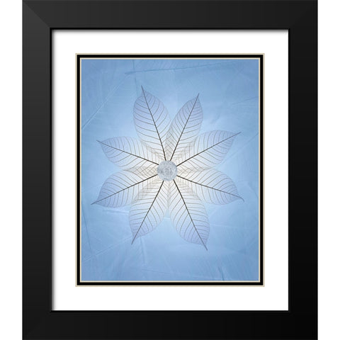 USA- Washington State- Seabeck. Skeletonized leaf pattern. Black Modern Wood Framed Art Print with Double Matting by Jaynes Gallery