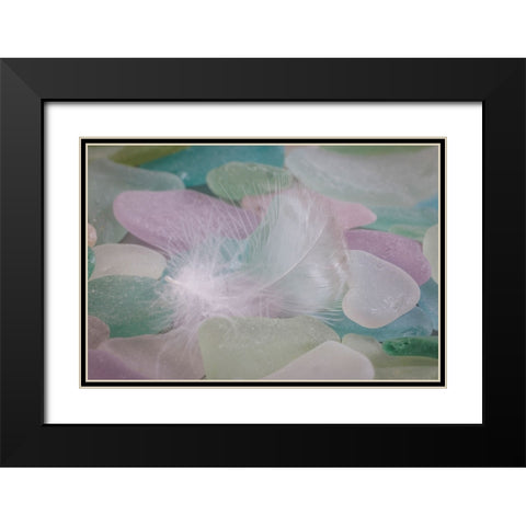 USA- Washington State- Seabeck. Feather and beach glass close-up. Black Modern Wood Framed Art Print with Double Matting by Jaynes Gallery