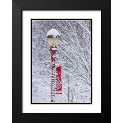 USA- Washington State- Issaquah with fresh fallen snow and red lamppost with Christmas decorations Black Modern Wood Framed Art Print with Double Matting by Gulin, Darrell