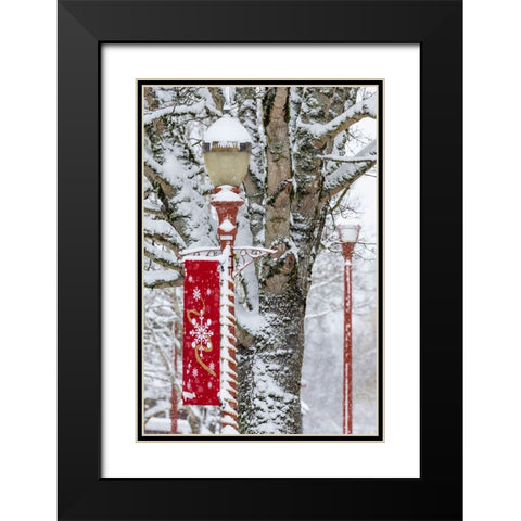 USA- Washington State- Issaquah with fresh fallen snow and red lamppost with Christmas decorations Black Modern Wood Framed Art Print with Double Matting by Gulin, Darrell