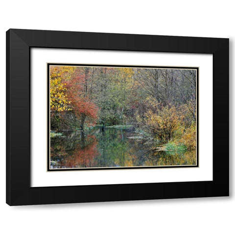 USA- Washington State- Easton and Washington Cascades water way off of Yakima River in Fall Color Black Modern Wood Framed Art Print with Double Matting by Gulin, Darrell