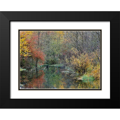 USA- Washington State- Easton and Washington Cascades water way off of Yakima River in Fall Color Black Modern Wood Framed Art Print with Double Matting by Gulin, Darrell