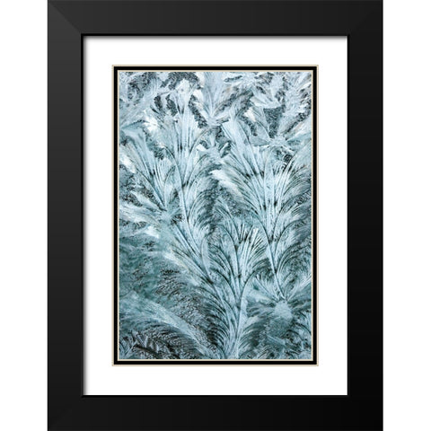 USA- Washington State- Sammamish. Frost on auto window Black Modern Wood Framed Art Print with Double Matting by Gulin, Darrell