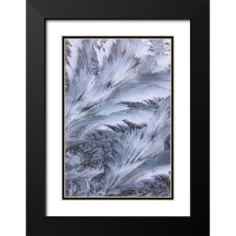 USA- Washington State- Sammamish. Frost on auto window Black Modern Wood Framed Art Print with Double Matting by Gulin, Darrell