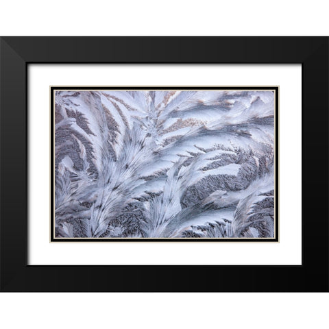 USA- Washington State- Sammamish. Frost on auto window Black Modern Wood Framed Art Print with Double Matting by Gulin, Darrell