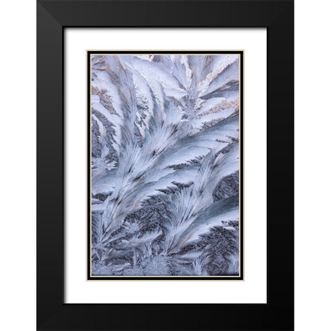 USA- Washington State- Sammamish. Frost on auto window Black Modern Wood Framed Art Print with Double Matting by Gulin, Darrell