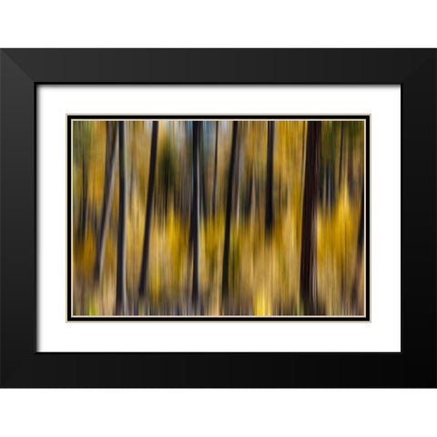 USA- Washington State. East of Twisp on Highway 20 Black Modern Wood Framed Art Print with Double Matting by Gulin, Darrell