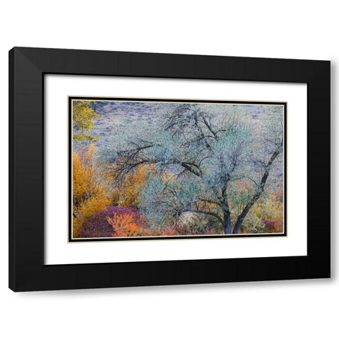 USA- Washington State. Fall color around Pearrygin Lake State Park near Winthrop. Black Modern Wood Framed Art Print with Double Matting by Gulin, Darrell