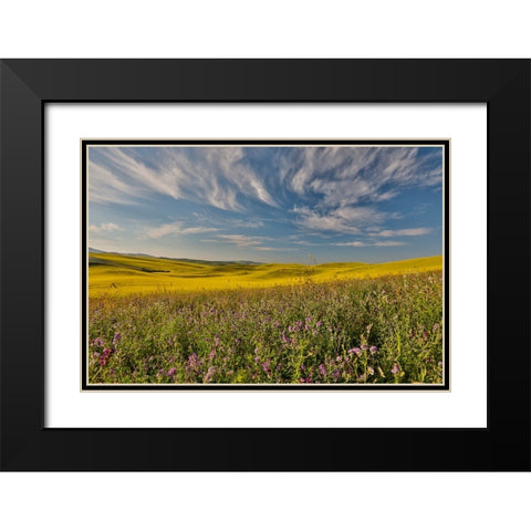 USA- Washington State- Palouse Black Modern Wood Framed Art Print with Double Matting by Gulin, Darrell