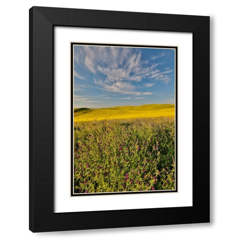 USA- Washington State- Palouse Black Modern Wood Framed Art Print with Double Matting by Gulin, Darrell