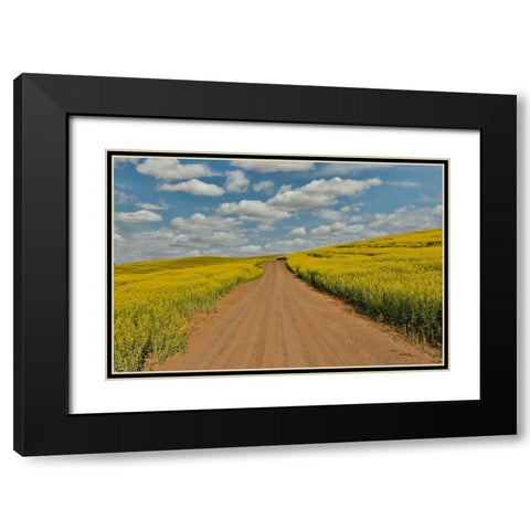 USA- Washington State- Palouse. Springtime landscape dirt roadway and Canola fields Black Modern Wood Framed Art Print with Double Matting by Gulin, Darrell