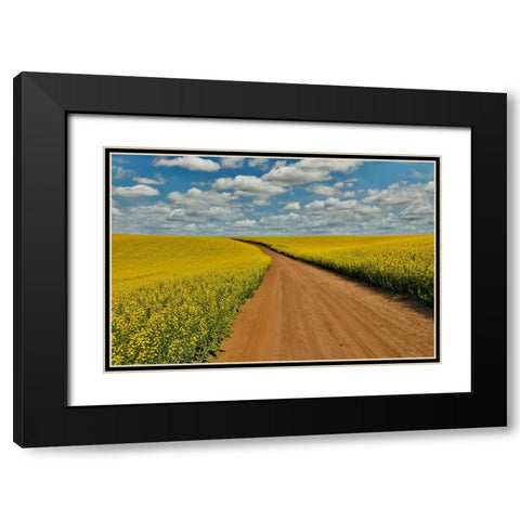 USA- Washington State- Palouse. Springtime landscape dirt roadway and Canola fields Black Modern Wood Framed Art Print with Double Matting by Gulin, Darrell