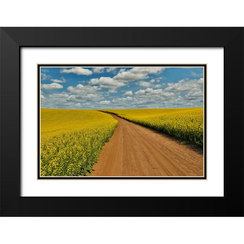 USA- Washington State- Palouse. Springtime landscape dirt roadway and Canola fields Black Modern Wood Framed Art Print with Double Matting by Gulin, Darrell