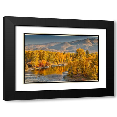 USA- Washington State- Methow Valley and river edged in Fall colored trees. Black Modern Wood Framed Art Print with Double Matting by Gulin, Darrell
