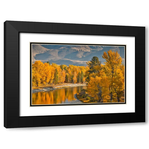 USA- Washington State- Methow Valley and river edged in Fall colored trees. Black Modern Wood Framed Art Print with Double Matting by Gulin, Darrell