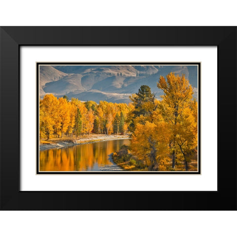 USA- Washington State- Methow Valley and river edged in Fall colored trees. Black Modern Wood Framed Art Print with Double Matting by Gulin, Darrell