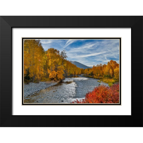 USA- Washington State- Methow Valley and river edged in Fall colored trees. Black Modern Wood Framed Art Print with Double Matting by Gulin, Darrell