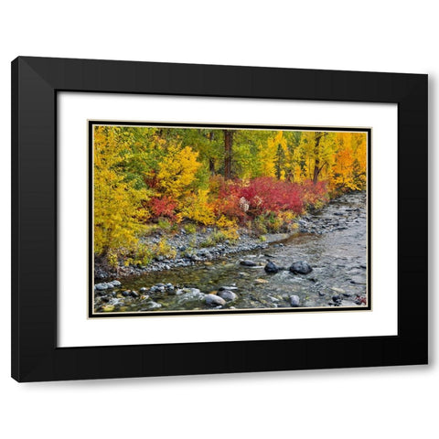 USA- Washington State. Cottonwoods and wild dogwood along Peshastin Creek- off of Highway 97 Black Modern Wood Framed Art Print with Double Matting by Gulin, Darrell