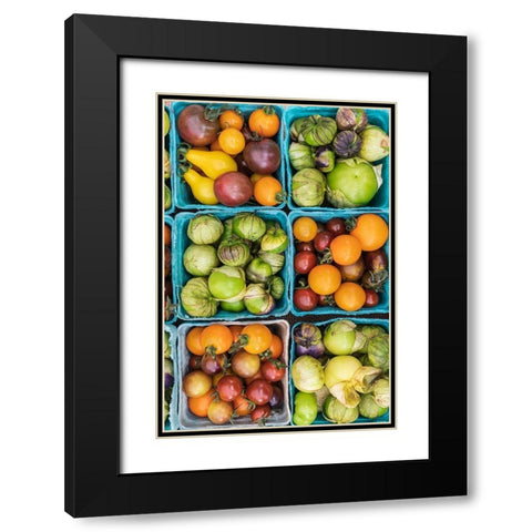 Washington State-Vancouver Fresh heirloom tomatoes for sale at a farmers market Black Modern Wood Framed Art Print with Double Matting by Wilson, Emily