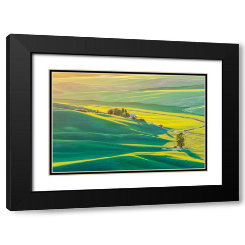 Steptoe Butte State Park-Washington State-USA-Sunset view of wheat fields in the rolling Palouse hi Black Modern Wood Framed Art Print with Double Matting by Wilson, Emily M.