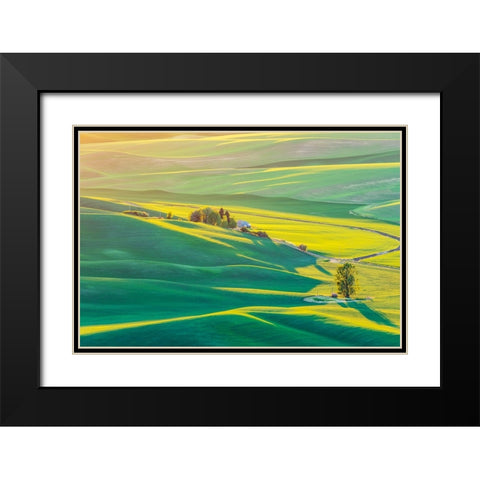 Steptoe Butte State Park-Washington State-USA-Sunset view of wheat fields in the rolling Palouse hi Black Modern Wood Framed Art Print with Double Matting by Wilson, Emily M.