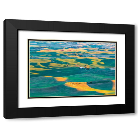 Steptoe Butte State Park-Washington State-USA-Sunset view of wheat farms in the rolling Palouse hil Black Modern Wood Framed Art Print with Double Matting by Wilson, Emily M.