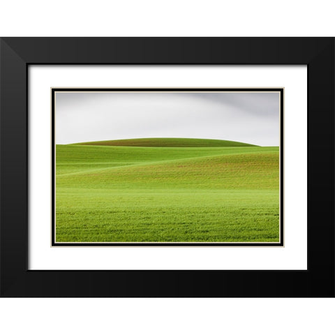 Steptoe-Washington State-USA-Wheat fields in the rolling Palouse hills of Washington Black Modern Wood Framed Art Print with Double Matting by Wilson, Emily M.