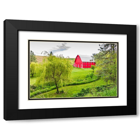 Colfax-Washington State-USA-A red barn on a farm in the Palouse hills Black Modern Wood Framed Art Print with Double Matting by Wilson, Emily M.
