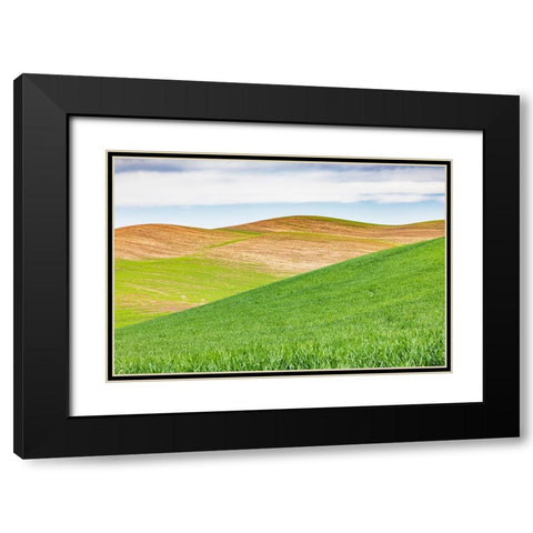 Pullman-Washington State-USA-Rolling wheat fields in the Palouse hills Black Modern Wood Framed Art Print with Double Matting by Wilson, Emily M.