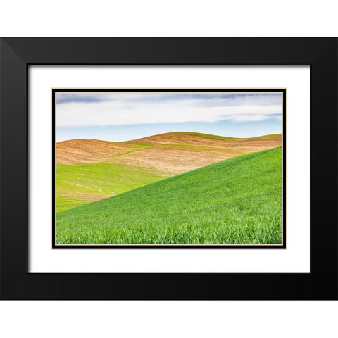 Pullman-Washington State-USA-Rolling wheat fields in the Palouse hills Black Modern Wood Framed Art Print with Double Matting by Wilson, Emily M.
