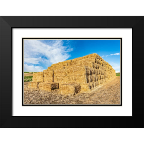 Pullman-Washington State-USA-Stack of hay bales in the Palouse hills Black Modern Wood Framed Art Print with Double Matting by Wilson, Emily M.