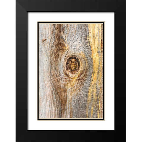 Latah-Washington State-USA-Knot in weathered wood on an old barn Black Modern Wood Framed Art Print with Double Matting by Wilson, Emily M.