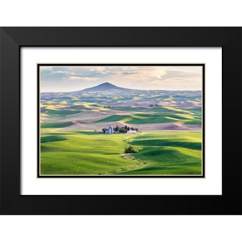 Farmington-Washington State-USA-Wheat farms in front of Steptoe Butte in the Palouse hills Black Modern Wood Framed Art Print with Double Matting by Wilson, Emily M.