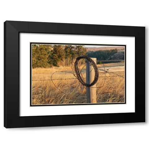 USA- Washington State- Whitman County- Palouse. Barbed wire fence Posts. Black Modern Wood Framed Art Print with Double Matting by Wilson, Emily M.