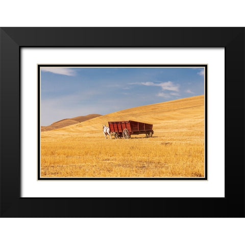 USA- Washington State- Whitman County- Palouse Black Modern Wood Framed Art Print with Double Matting by Wilson, Emily M.