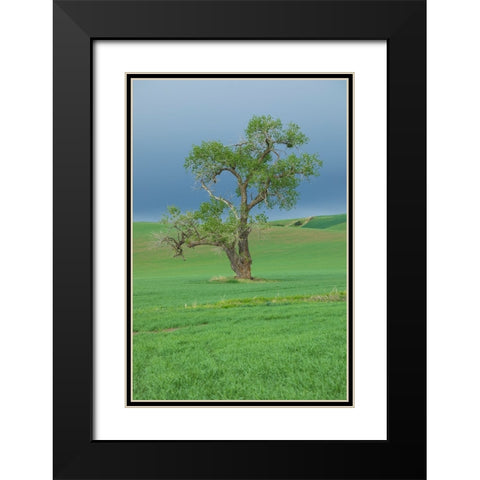 USA- Washington State- Whitman County- Palouse Black Modern Wood Framed Art Print with Double Matting by Wilson, Emily M.
