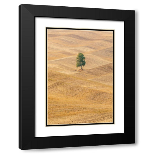 Perspective Image
