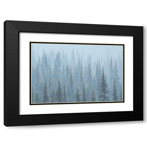 USA Mt Rainier National Park Smoke from Washington State fires drifts through conifers Black Modern Wood Framed Art Print with Double Matting by Luhm, Gary