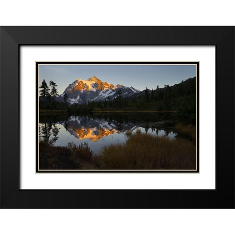Glaciated Mt Shuksan reflected in Picture Lake-Mt Baker-Snoqualmie National Forest  Black Modern Wood Framed Art Print with Double Matting by Luhm, Gary