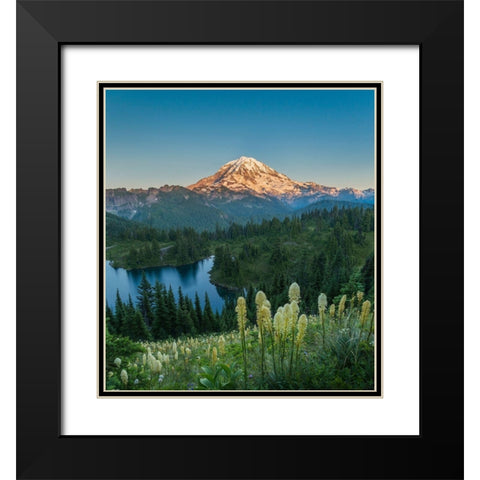 Washington State Beargrass wildflowers from the flank of Tolmie Peak at Eunice Lake Black Modern Wood Framed Art Print with Double Matting by Luhm, Gary