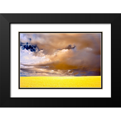 USA-Palouse abstract Black Modern Wood Framed Art Print with Double Matting by Theodore, George and Marilu