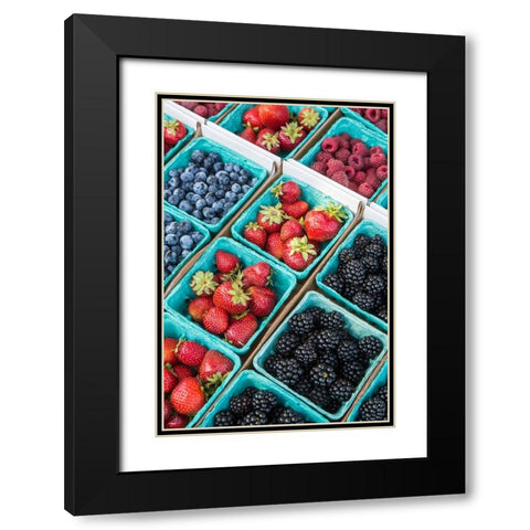 Issaquah-Washington State-USA Pints of freshly harvested strawberries Black Modern Wood Framed Art Print with Double Matting by Horton, Janet