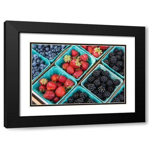 Issaquah-Washington State-USA Pints of freshly harvested strawberries Black Modern Wood Framed Art Print with Double Matting by Horton, Janet