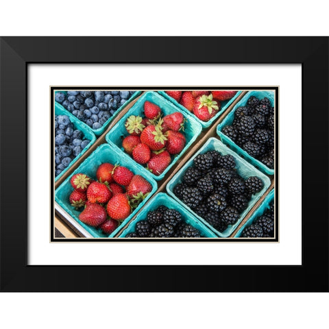 Issaquah-Washington State-USA Pints of freshly harvested strawberries Black Modern Wood Framed Art Print with Double Matting by Horton, Janet