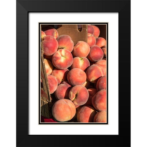 Issaquah-Washington State-USA Boxes of White Lady peaches for sale at a Farmers Market Black Modern Wood Framed Art Print with Double Matting by Horton, Janet