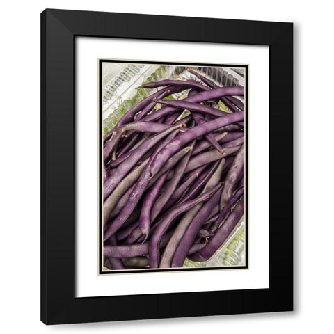Bellevue-Washington State-USA Freshly harvested Violet Podded Stringless pole beans Black Modern Wood Framed Art Print with Double Matting by Horton, Janet