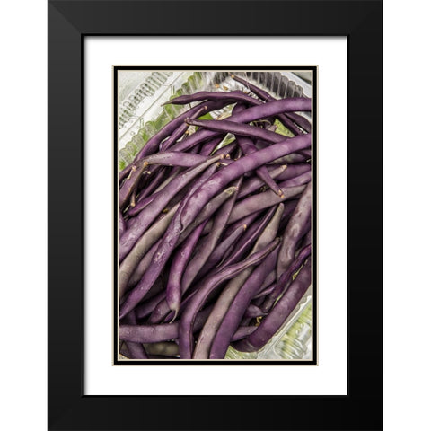 Bellevue-Washington State-USA Freshly harvested Violet Podded Stringless pole beans Black Modern Wood Framed Art Print with Double Matting by Horton, Janet